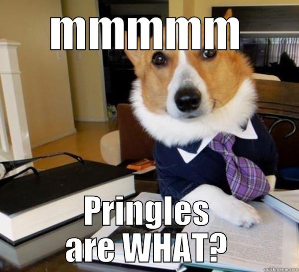 MMMMM PRINGLES ARE WHAT? Lawyer Dog