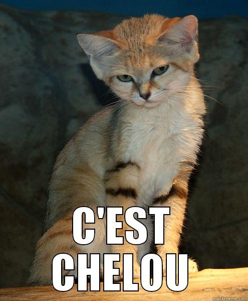 C'est chelou -  C'EST CHELOU Misc