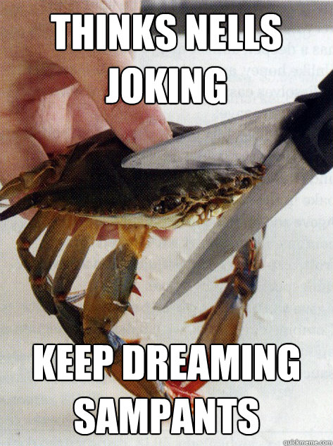 thinks nells joking keep dreaming sampants  Optimistic Crab