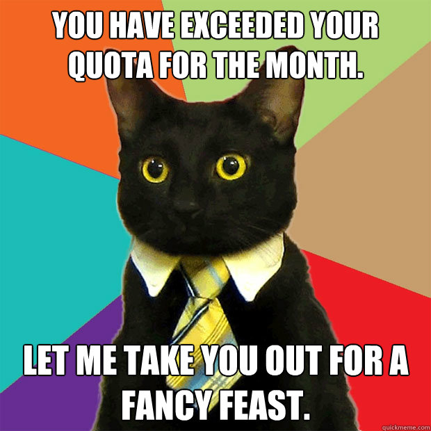 You have exceeded your quota for the month. Let me take you out for a fancy feast.  Business Cat