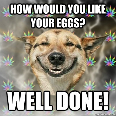 how would you like your eggs? well done!  Stoner Dog