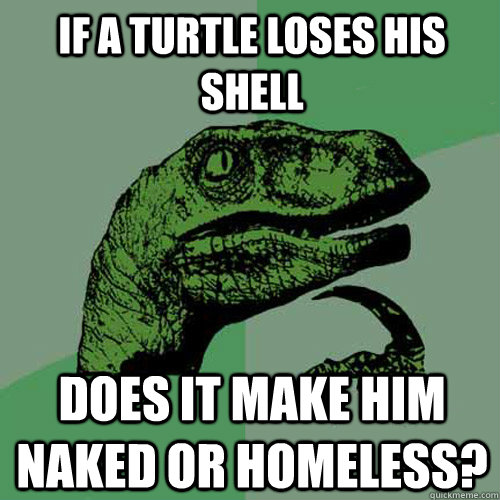 If a turtle loses his shell Does it make him naked or homeless?  Philosoraptor