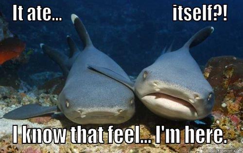 IT ATE...                                 ITSELF?! I KNOW THAT FEEL... I'M HERE. Compassionate Shark Friend