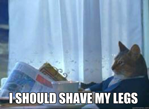 I SHOULD SHAVE MY LEGS   I should buy a boat cat