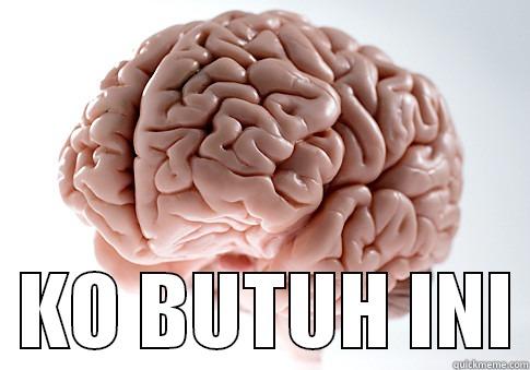    KO BUTUH INI Scumbag Brain