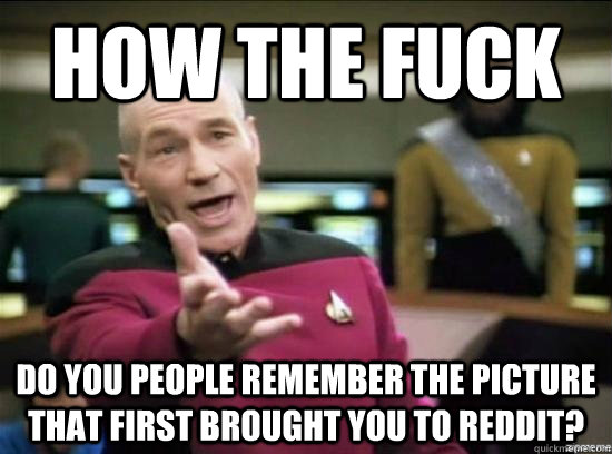 How the fuck do you people remember the picture that first brought you to reddit?  Annoyed Picard HD