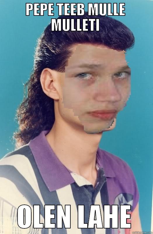 pepe mullets - PEPE TEEB MULLE MULLETI OLEN LAHE Misc