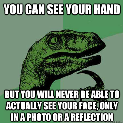 you can see your hand but you will never be able to actually see your face, only in a photo or a reflection  Philosoraptor