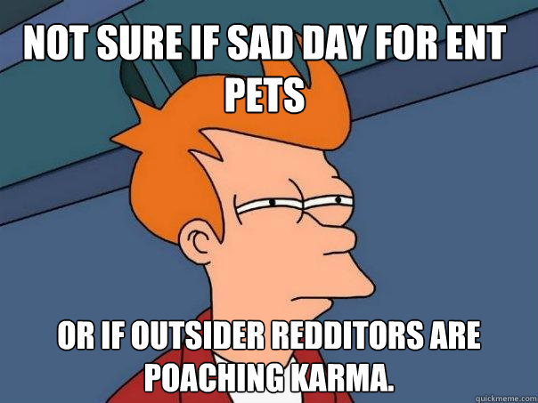 Not sure if sad day for ent pets Or if outsider redditors are poaching karma.  Futurama Fry