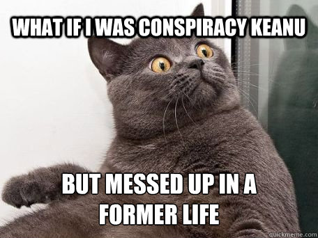 what if i was conspiracy keanu but messed up in a former life  conspiracy cat