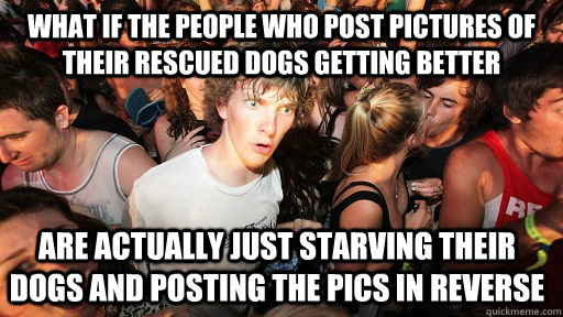 What if the people who post pictures of their rescued dogs getting better are actually just starving their dogs and posting the pics in reverse  Sudden Clarity Clarence