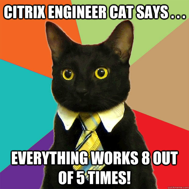 Citrix Engineer Cat says . . . everything works 8 out of 5 times!  Business Cat