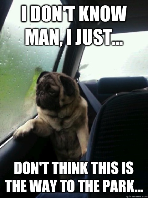 I don't know man, I just... Don't think this is the way to the park...  Introspective Pug