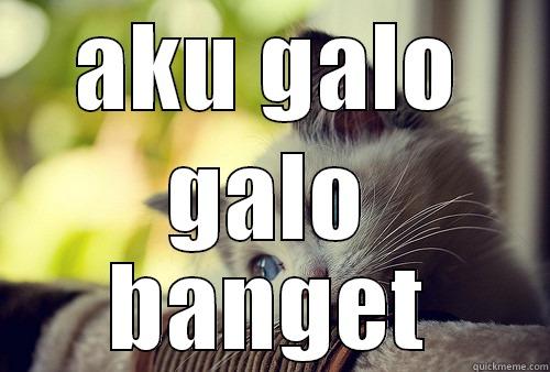 aku galo - AKU GALO GALO BANGET First World Problems Cat