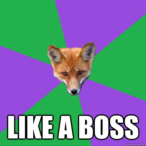  Like a boss -  Like a boss  Anthropology Major Fox