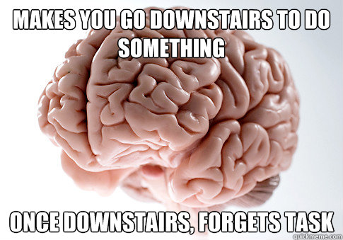 Makes you go downstairs to do something Once downstairs, forgets task  Scumbag Brain