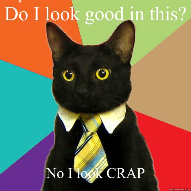 Do I look good in this? No I look CRAP Caption 3 goes here  Business Cat