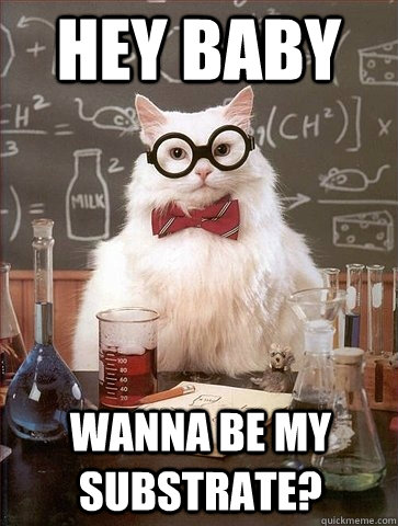 HEY BABY WANNA BE MY SUBSTRATE? - HEY BABY WANNA BE MY SUBSTRATE?  Chemistry Cat