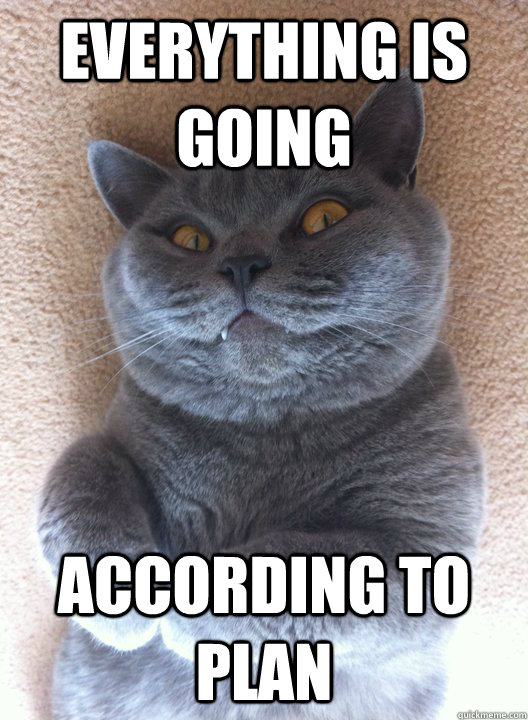 EVERYTHING IS GOING ACCORDING TO PLAN  Evil Cat