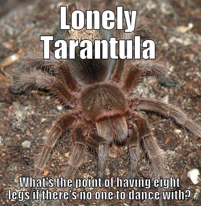 Loneliest Tarantula - LONELY TARANTULA WHAT'S THE POINT OF HAVING EIGHT LEGS IF THERE'S NO ONE TO DANCE WITH? Misc