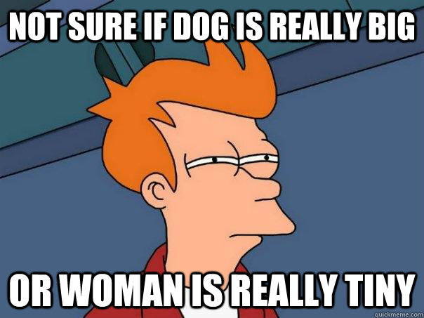 not sure if dog is really big or woman is really tiny  Futurama Fry