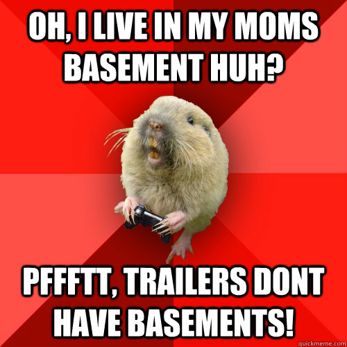 Oh, i live in my moms basement huh? pffftt, trailers dont have basements!  Gaming Gopher