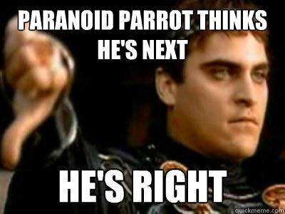 Paranoid Parrot Thinks He's Next he's right - Paranoid Parrot Thinks He's Next he's right  Downvoting Roman