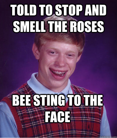 told to stop and smell the roses bee sting to the face - told to stop and smell the roses bee sting to the face  Bad Luck Brian