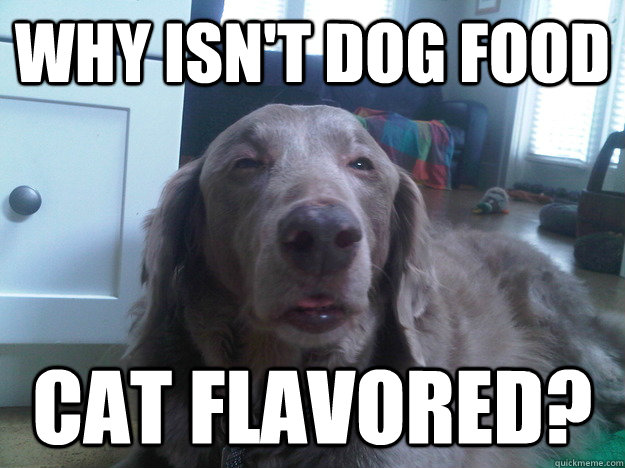 why isn't dog food cat flavored?  10 Dog