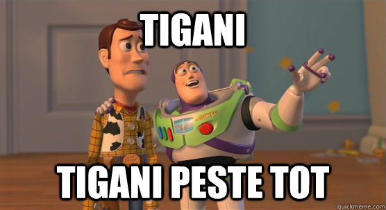 Tigani Tigani peste tot  Toy Story Everywhere