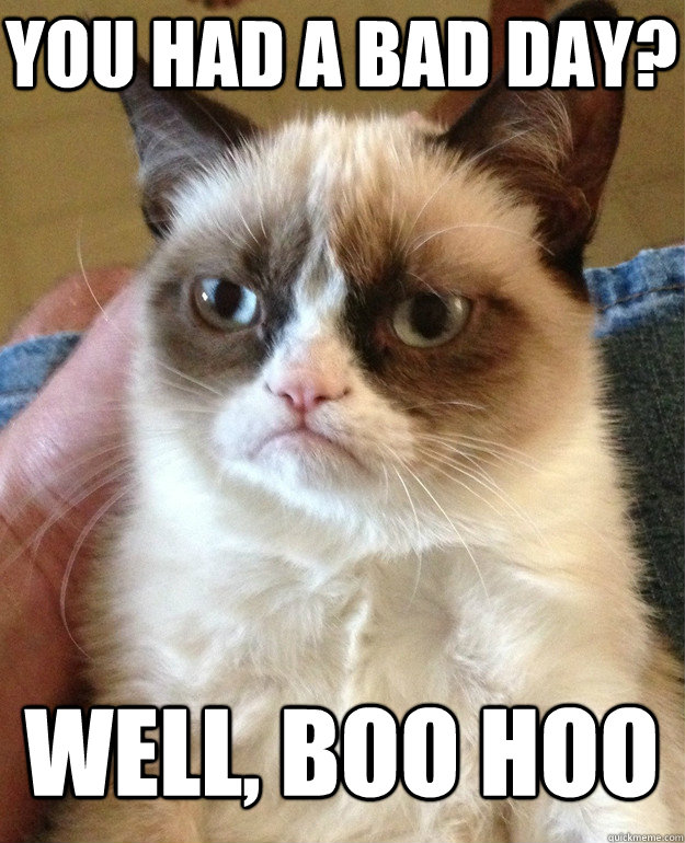 You had a bad day? Well, boo hoo - You had a bad day? Well, boo hoo  Grumpy Cat