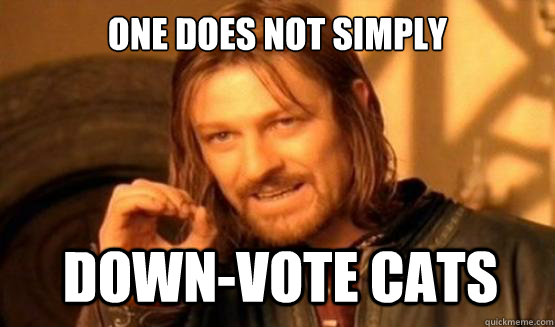 One does not simply down-vote cats - One does not simply down-vote cats  ONE DOES NOT SIMPLY EAT WITH UTENSILS