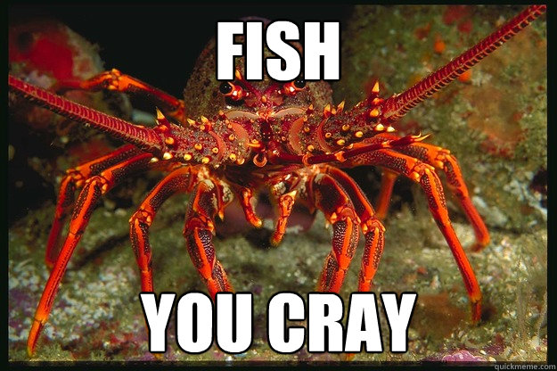 fISH You cray - fISH You cray  Misc