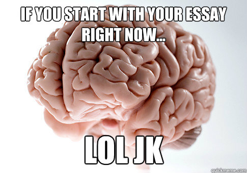 if you start with your essay right now... lol jk  Scumbag Brain