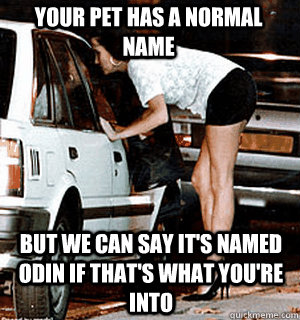 Your pet has a normal name But we can say it's named Odin if that's what you're into  Karma Whore