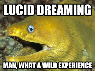 Lucid dreaming Man, what a wild experience  