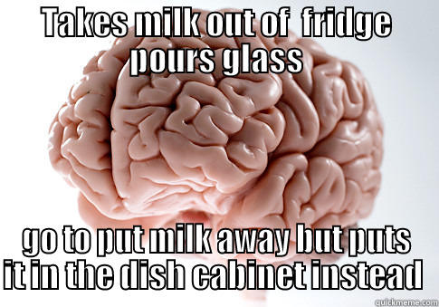 TAKES MILK OUT OF  FRIDGE POURS GLASS GO TO PUT MILK AWAY BUT PUTS IT IN THE DISH CABINET INSTEAD  Scumbag Brain