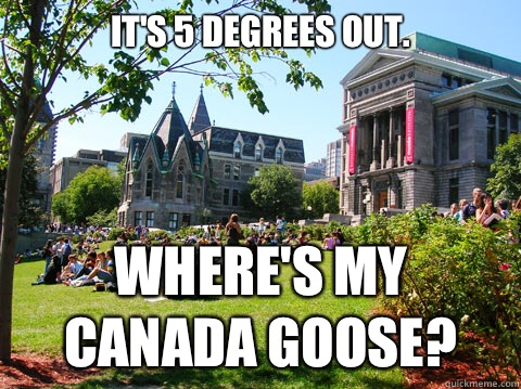 It's 5 degrees out. WHERE'S MY CANADA GOOSE? - It's 5 degrees out. WHERE'S MY CANADA GOOSE?  McGill Meme