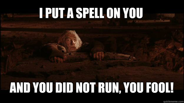 I PUT A SPELL ON YOU AND YOU DID NOT RUN, YOU FOOL!  Gandalf