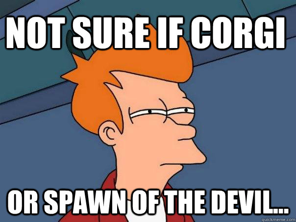 Not sure if corgi Or spawn of the devil... - Not sure if corgi Or spawn of the devil...  Futurama Fry