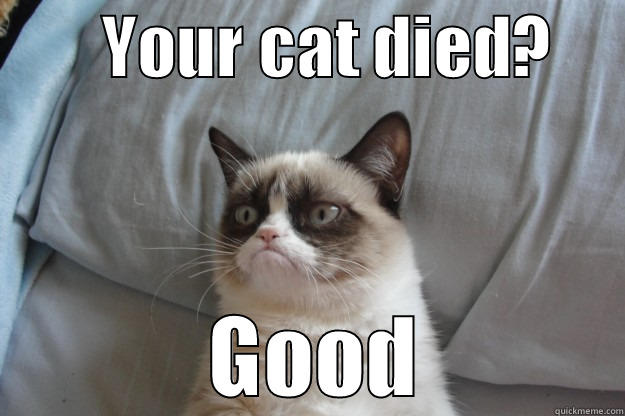        YOUR CAT DIED?              GOOD        Grumpy Cat