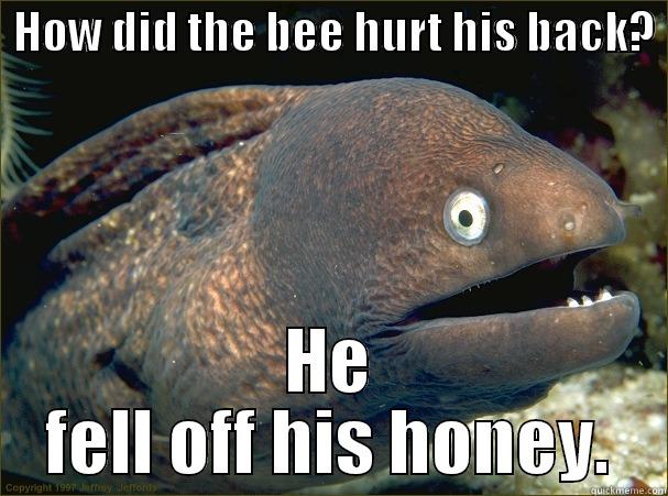  HOW DID THE BEE HURT HIS BACK?  HE FELL OFF HIS HONEY. Bad Joke Eel