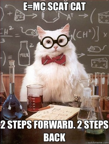 E=MC SCAT CAT 2 STEPS FORWARD. 2 STEPS BACK - E=MC SCAT CAT 2 STEPS FORWARD. 2 STEPS BACK  Chemistry Cat