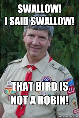 Swallow!  I said swallow! That bird is not a robin! - Swallow!  I said swallow! That bird is not a robin!  Harmless Scout Leader