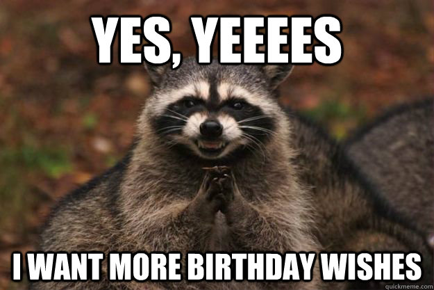 Yes, yeeees  I want more birthday wishes - Yes, yeeees  I want more birthday wishes  Evil Plotting Raccoon