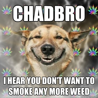 CHADBRO I HEAR YOU DON'T WANT TO SMOKE ANY MORE WEED  Stoner Dog