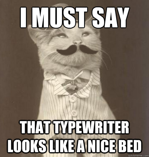 I must say That typewriter looks like a nice bed - I must say That typewriter looks like a nice bed  Original Business Cat