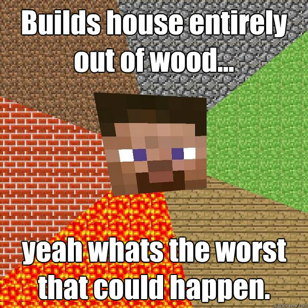 Builds house entirely out of wood... yeah whats the worst that could happen.  Minecraft