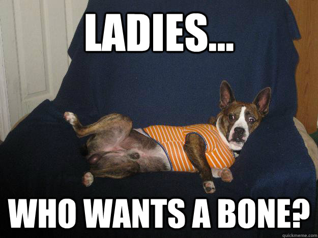 Ladies... Who wants a bone? - Ladies... Who wants a bone?  Lady killer dog