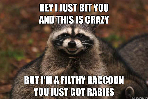 Hey I just bit you
and this is crazy but i'm a filthy raccoon
you just got rabies  Evil Plotting Raccoon